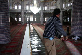 cami stma , hal alt cami stc , karbonik cami stma